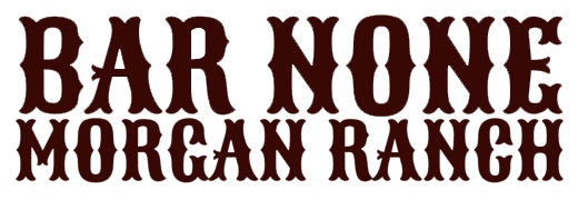 The BAR NONE Brand - Bar None Morgan Ranch