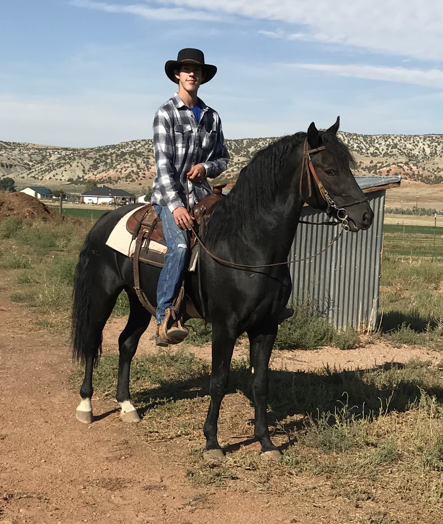 Cowboy on a black stallion